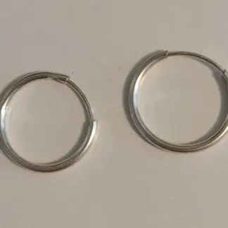 Small Silver Hoop Earrings