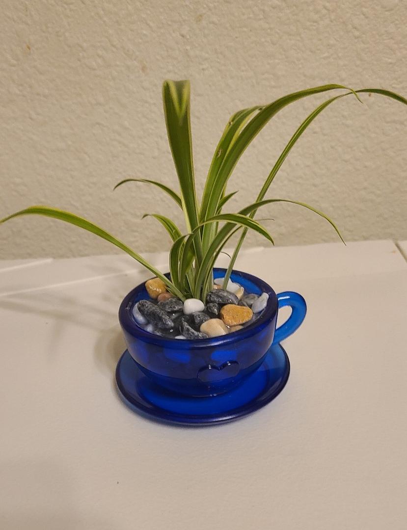 Blue Crystal Teacup Planter
