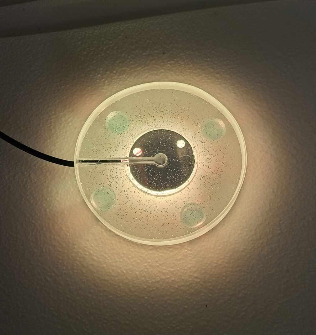 Crystal Lighted Base With Remote - Image 4