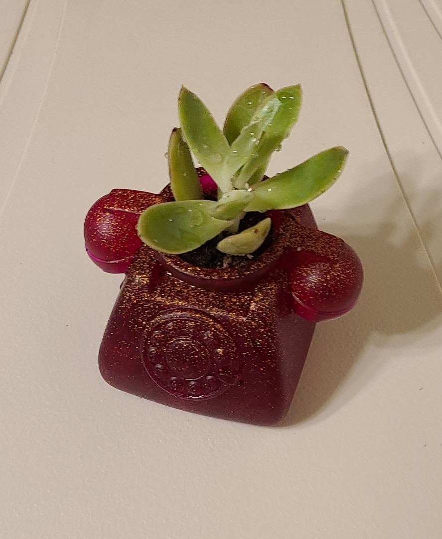 Rose Red Retro Phone Planter