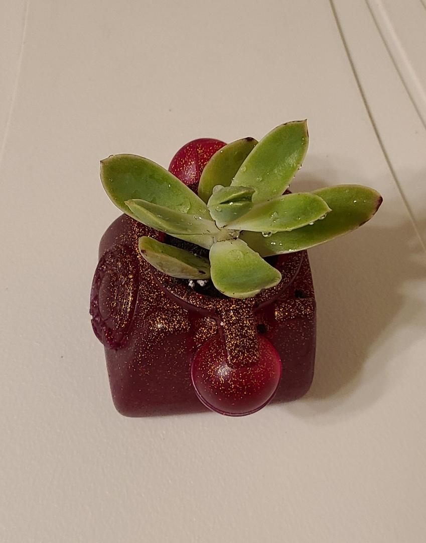 Rose Red Retro Phone Planter - Image 4