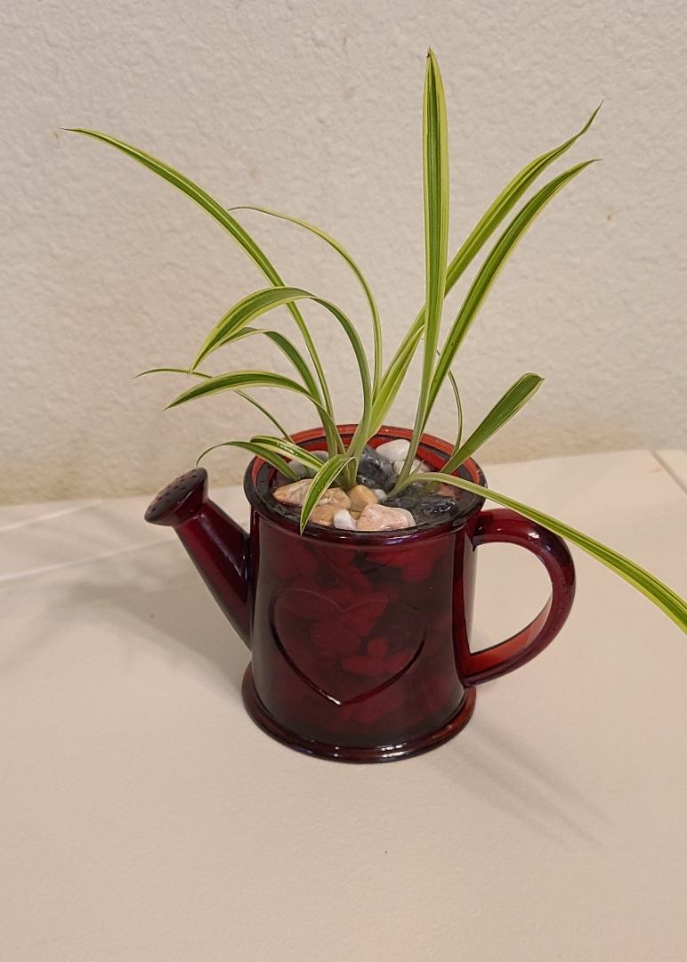 Rose Red Watering Can Planter