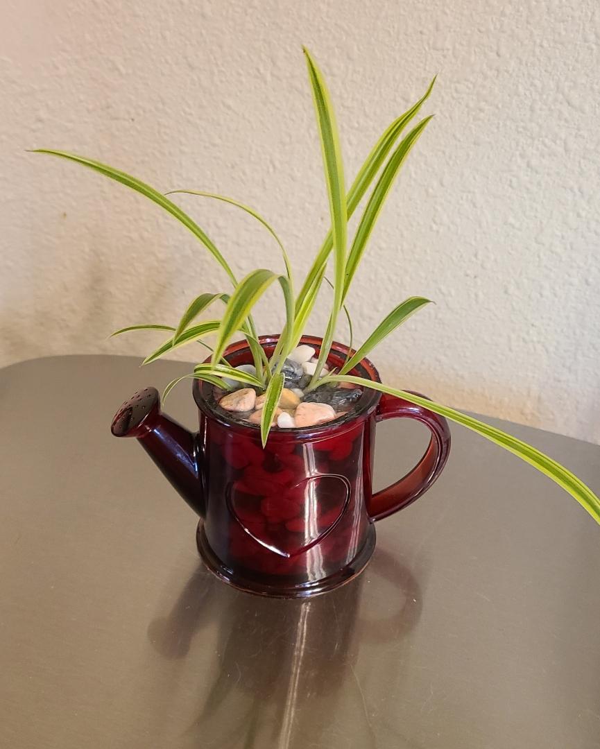 Rose Red Watering Can Planter - Image 3